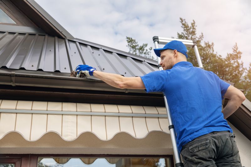 Gutter Cleaning And Repair
