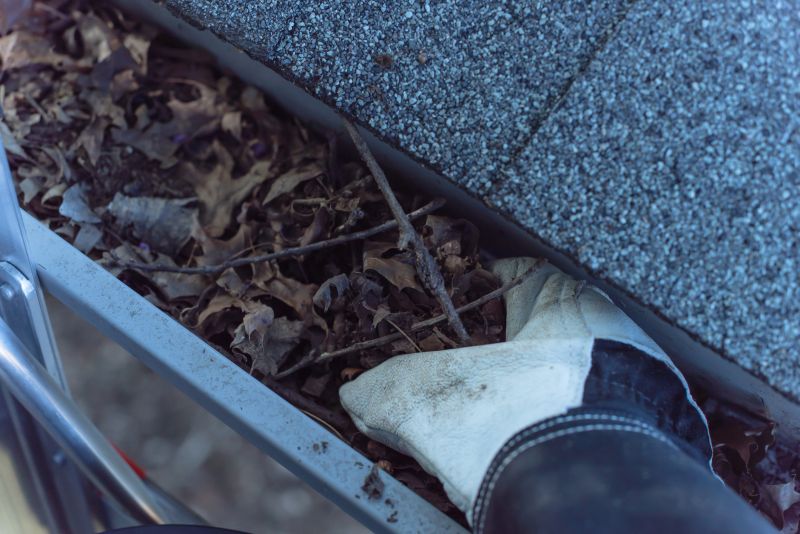 Gutter Cleaning And Repair