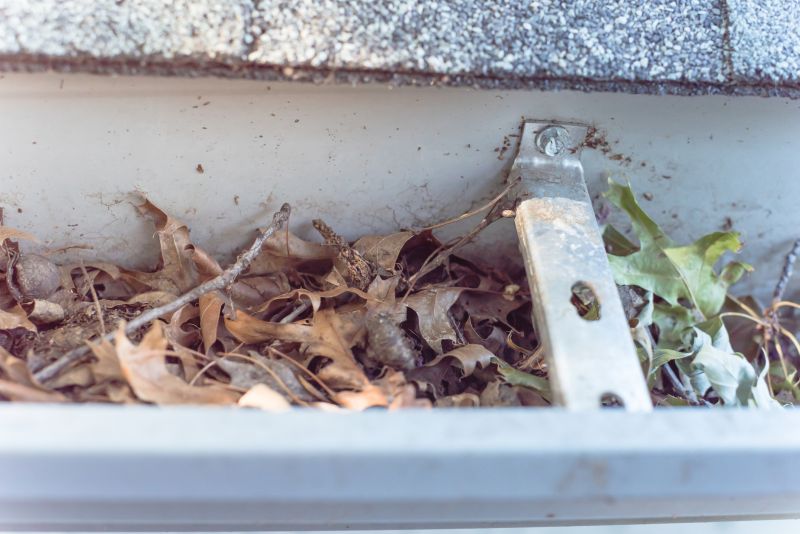 Clogged Gutter Damage