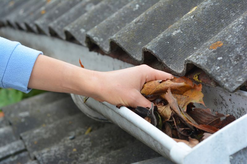 Gutter Cleaning in Spring