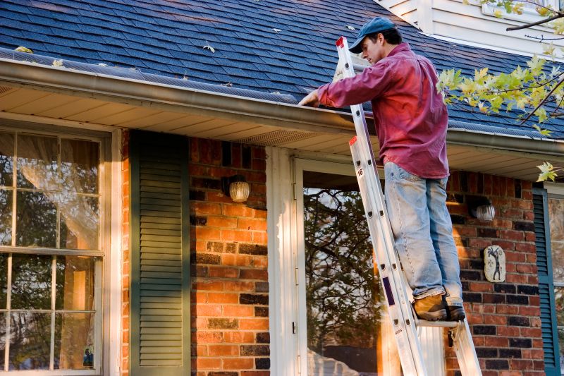 House Gutter Repair in Longmont, CO